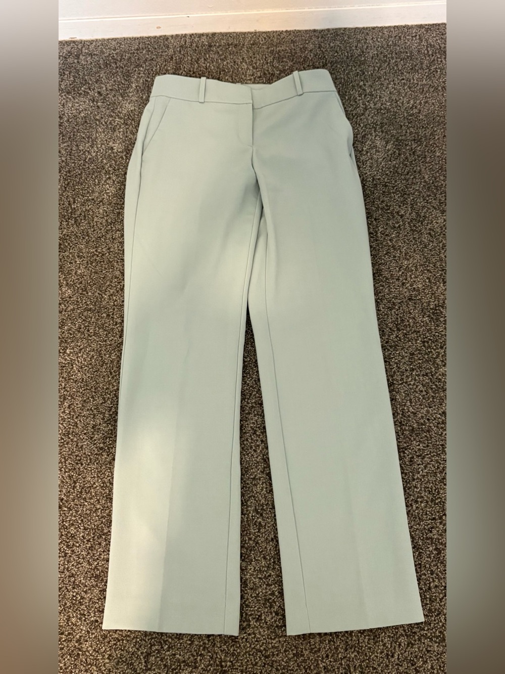 Ann Taylor Women’s Mint Green Dress Trousers - Tailored Straight